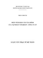 LUẬN VĂN THẠC SỸ - PHÂN TÍCH BÁO CÁO TÀI CHÍNH CỦA TẬP ĐOÀN VINGROUP - CÔNG TY CP