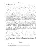 Tiểu luận chủ nghĩa xã hội khoa học: Chủ nghĩa xã hội và công bằng xã hội