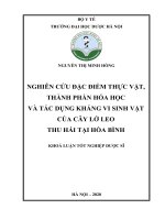 NGUYỄN THỊ MINH HỒNG NGHIÊN cứu đặc điểm THỰC vật, THÀNH PHẦN hóa học và tác DỤNG KHÁNG VI SINH vật của cây lở LEO THU hái tại hòa BÌNH KHOÁ LUẬN tốt NGHIỆP dược sĩ bộ y tế TRƯỜNG đại học dược hà nội 