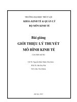 Bài giảng giới thiệu lý thuyết mô hình kinh tế 