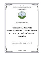 ĐỖ THỊ PHƯƠNG NGA NGHIÊN cứu điều CHẾ BERBERIN BISULFAT từ BERBERIN CLORID QUY mô PHÒNG THÍ NGHIỆM KHÓA LUẬN tốt NGHIỆP dược sĩ hà nội – 2020 