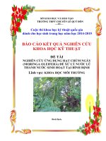 BÁO cáo NGHIÊN cứu KHOA học kĩ THUẬT đề tài NGHIÊN cứu ỨNG DỤNG hạt CHÙM NGÂY (MORINGA OLEIFERA) để xử lý nước lũ THÀNH nước SINH HOẠT 