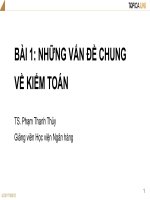 Bài giảng Kiểm toán căn bản: Bài 1 - TS. Phạm Thanh Thủy