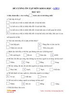 Tải về Đề cương ôn tập học kì 1 môn Khoa học lớp 5 - Tìm đáp án, giải