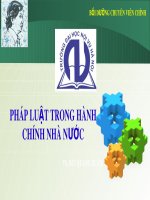 Bài giảng Bồi dưỡng chuyên viên chính trị: Pháp luật trong hành chính nhà nước