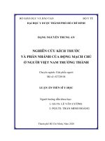 Nghiên cứu kích thước và phân nhánh của động mạch chủ ở người việt nam trưởng thành 