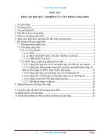 SKKN phương pháp giải bài toán sắt và hợp chất của sắt 