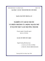 Nghiên cứu kích thước và phân nhánh của động mạch chủ ở người việt nam trưởng thành 