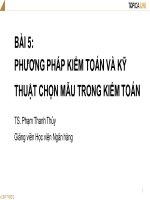 Bài giảng Kiểm toán căn bản: Bài 5 - TS. Phạm Thanh Thủy
