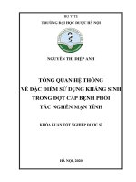 NGUYỄN THỊ DIỆP ANH TỔNG QUAN hệ THỐNG về đặc điểm sử DỤNG KHÁNG SINH TRONG đợt cấp BỆNH PHỔI tắc NGHẼN mạn TÍNH KHÓA LUẬN tốt NGHIỆP dược sĩ hà nội, 2020 