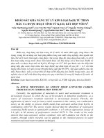 Khảo sát khả năng xử lý kim loại Zn(II) từ than mắc ca được hoạt tính từ K2CO3 kết hợp với Fe0