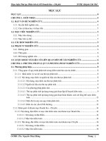 Luận văn - Thực hiện thủ tục phân tích trong kiểm toán báo cáo tài chính và kiểm toán phần hành doanh thu - chi phí tại SGN