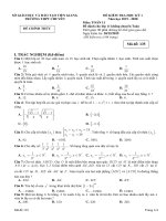 Đề thi học kỳ 1 Toán 11 năm 2019 – 2020 trường THPT chuyên Tiền Giang | Toán học, Lớp 11 - Ôn Luyện