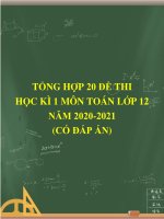 Tổng hợp 20 đề thi học kì 1 môn Toán 12 năm 2020-2021 (Có đáp án)