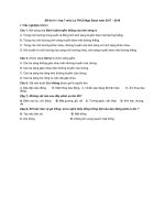 Đề thi học kì 1 môn Vật lý lớp 7 THCS Ngũ Đoan có đáp án | Vật lý, Lớp 7 - Ôn Luyện