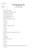 Đề thi học sinh giỏi lớp 5 môn Tiếng việt - Đề số 1