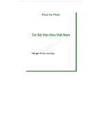 Bài giảng Cơ Sở Văn Hóa Việt Nam