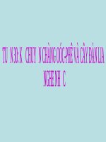 Bài giảng Âm nhạc 3 bài 30 Kể chuyện âm nhạc Chàng OócPhê và cây đàn Lia | Âm nhạc, Lớp 3 - Ôn Luyện