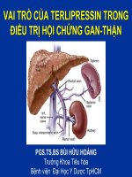 Bài giảng Vai trò của Terlipressin trong điều trị hội chứng gan thận - PGS.TS.BS Bùi Hữu Hoàng