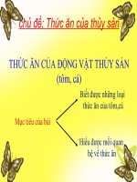 bài giảng điện tử dạy trực tuyến của cô nguyễn thị thanh bình  gv công nghệ  thcs an phú  quận 2