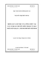 luận văn thạc sĩ động lực làm việc của công chức tại các cơ quan chuyên môn thuộc UBND quận 1, tp  HCM 