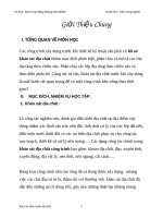 báo cáo thực hành địa chất công trình khảo sát địa chất công trình 