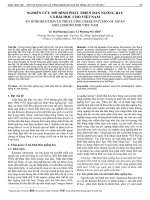 Nghiên cứu mô hình phát triển đàn ngỗng bay và bài học cho Việt Nam