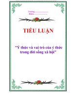 Tiểu luận 
