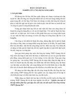 Sáng kiến kinh nghiệm, SKKN - Nghiên cứu một số bài tập nhằm phát huy quả đập cầu cuối sân cho đội tuyển Cầu lông trường THPT Quang Hà