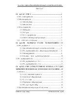 Luận văn - Hoàn thiện quy trình phân tích trong kiểm toán báo cáo tài chính tại Công ty TNHH kiểm toán Gốc Việt