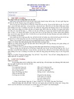 4 Đề thi học kì 1 môn Văn lớp 12 năm 2020 - 2021 THPT Marie Curie có đáp án | Ngữ văn, Lớp 12 - Ôn Luyện