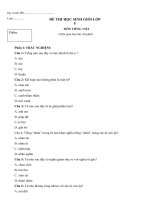 Đề thi học sinh giỏi lớp 5 môn Tiếng việt - Đề số 2