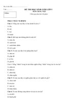 Đề thi học sinh giỏi lớp 5 môn Tiếng việt - Đề số 2