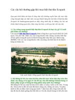 Các câu hỏi thường gặp khi mua biệt thự đảo ecopark