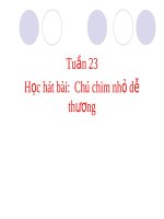 Bài giảng Âm nhạc 2 bài 23 Học hát Chú chim nhỏ dễ thương | Âm nhạc, Lớp 2 - Ôn Luyện