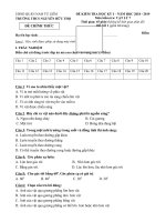 Đề thi học kì 1 môn Vật lý lớp 7 năm 2018 - 2019 THCS Nguyễn Hữu Thọ có đáp án | Vật lý, Lớp 7 - Ôn Luyện