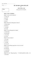 Đề thi học sinh giỏi lớp 5 môn Tiếng việt - Đề số 3