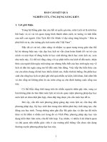 Sáng kiến kinh nghiệm, SKKN - Vận dụng kiến thức liên môn vào dạy học bài “Trung Quốc thời phong kiến”( Chương trình Lịch Sử lớp 10- Ban cơ bản)