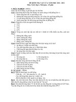 Đề kiểm tra học kì 2 môn vật lý lớp 6 năm 2011 | Vật lý, Lớp 6 - Ôn Luyện