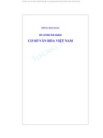 Đề cương bài giảng cơ sở văn hóa Việt Nam