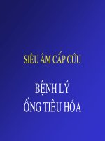 Bài giảng Siêu âm cấp cứu bệnh lý ống tiêu hóa