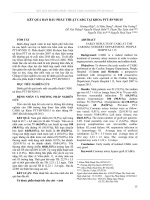 Kết quả ban đầu phẫu thuật CABG tại khoa Phẫu thuật Tim - Bệnh viện nhân dân 115