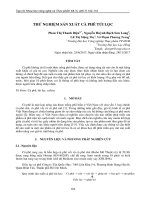 THỬ NGHIỆM SẢN XUẤT CÀ PHÊ TÚI LỌC