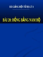 Bài giảng Địa lý 4 bài 20 Đồng bằng Nam Bộ | Địa lý, Lớp 4 - Ôn Luyện