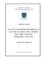 Các yếu tổ ảnh hưởng đến động lực làm việc của nhân viên y tế bệnh viện Y học Cổ truyền tỉnh Bà Rịa - Vũng Tàu: Luận văn thạc sĩ
