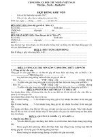 Tải về mẫu hợp đồng góp vốn với công ty khác mới nhất