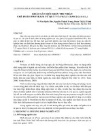 Khảo sát điều kiện thu nhận chế phẩm protease từ quả vả (Ficus auriculata L.)