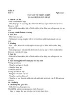 Giáo án ngữ văn 7 kì 2 soạn 5 hoạt động mới nhất