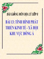 Bài giảng Địa lý 8 bài 13 Tình hình phát triển kinh tế - xã hội khu vực Đông Á | Lớp 8, Địa lý - Ôn Luyện