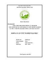 (Khóa luận tốt nghiệp) - Thực hiện biện pháp phòng và trị bệnh cho chó được đưa đến khám và chữa bệnh tại bệnh xá Thú y, trường Đại học Nông Lâm Thái Nguyên
